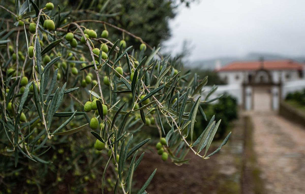 فيلا Casa Do Olival Tarouca المظهر الخارجي الصورة