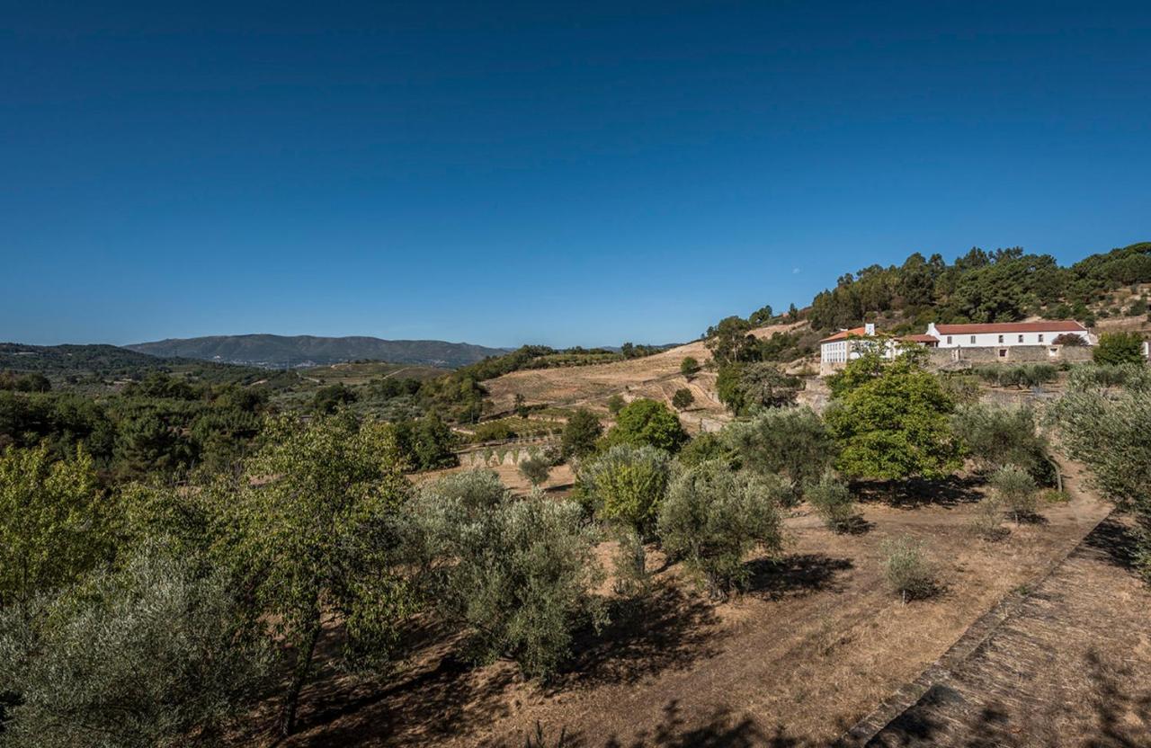 فيلا Casa Do Olival Tarouca المظهر الخارجي الصورة